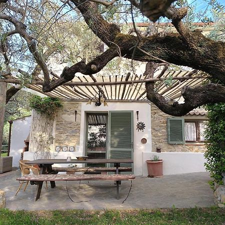 Agriturismo Villa Carducci Castagneto Carducci Eksteriør billede