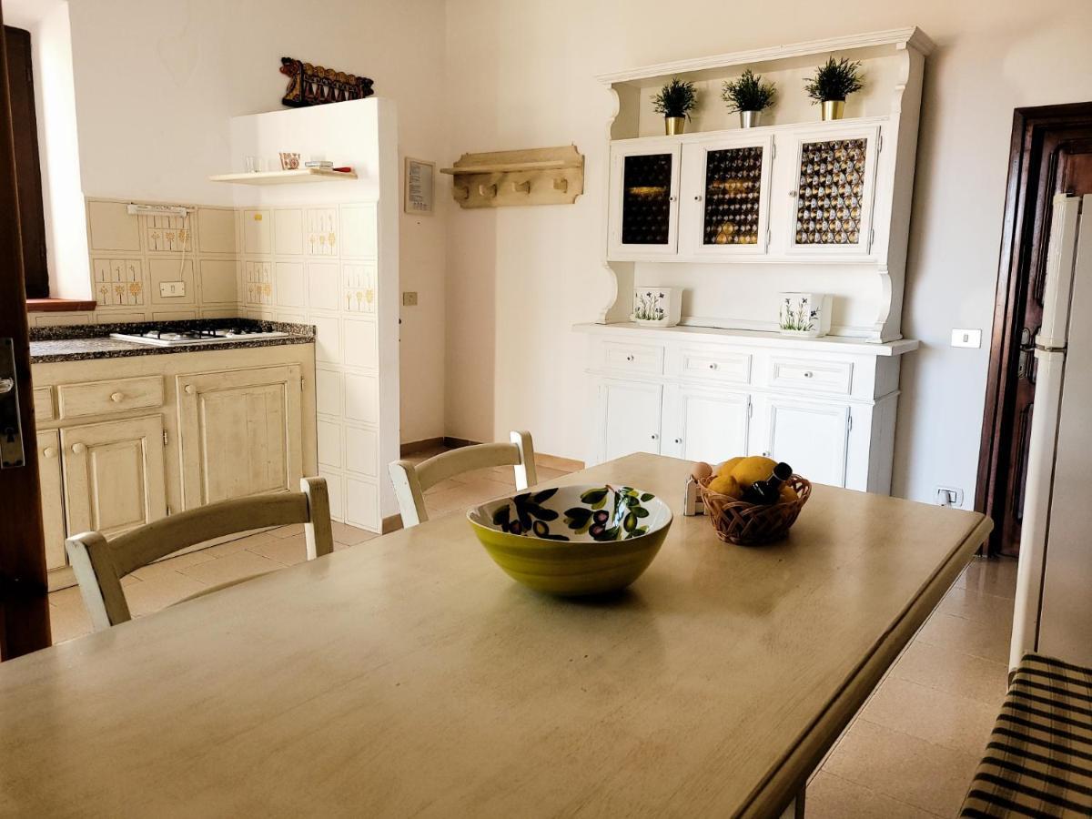 Agriturismo Villa Carducci Castagneto Carducci Eksteriør billede