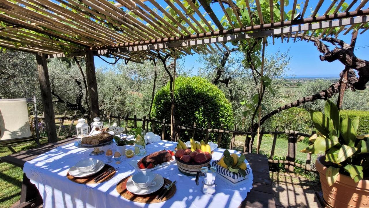 Agriturismo Villa Carducci Castagneto Carducci Eksteriør billede