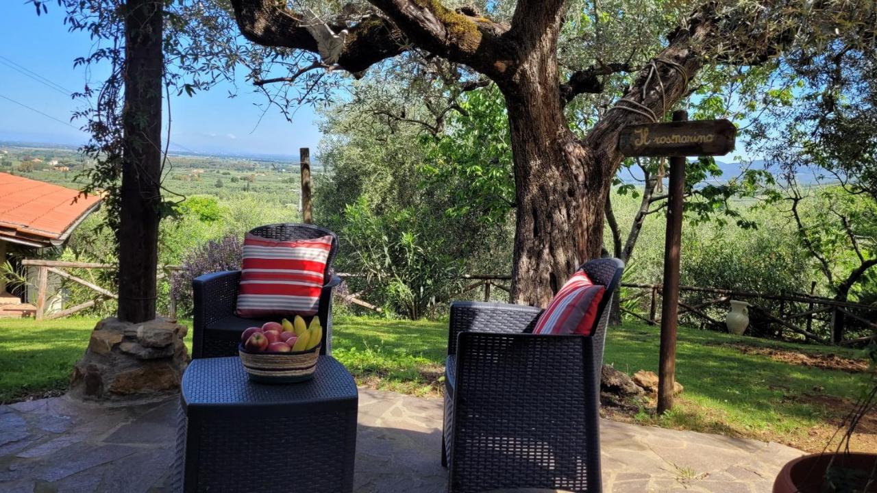 Agriturismo Villa Carducci Castagneto Carducci Eksteriør billede