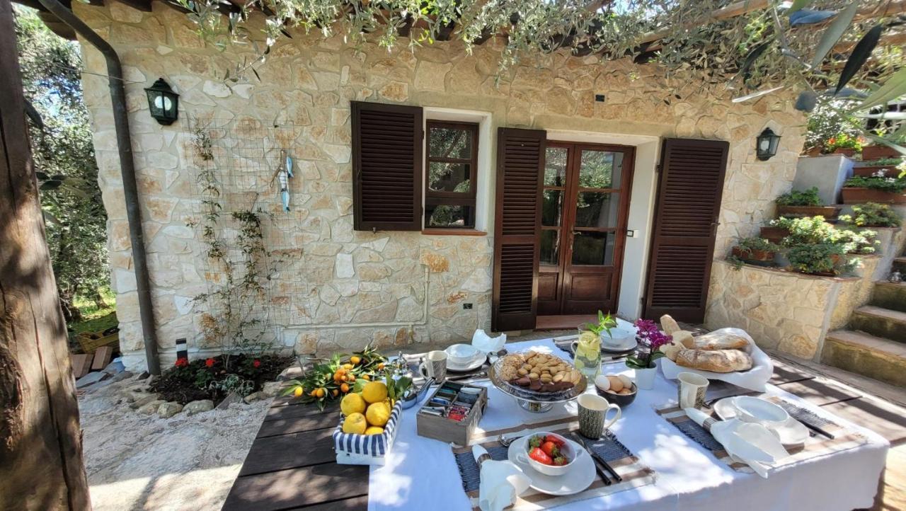 Agriturismo Villa Carducci Castagneto Carducci Eksteriør billede