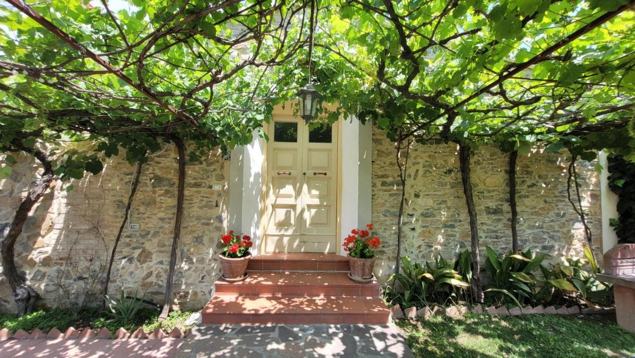 Agriturismo Villa Carducci Castagneto Carducci Eksteriør billede