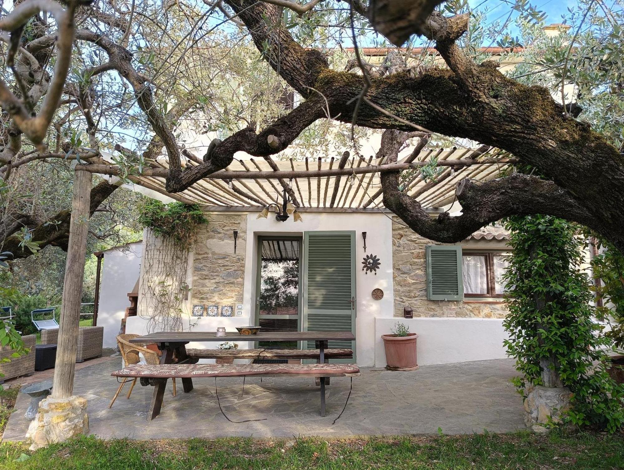 Agriturismo Villa Carducci Castagneto Carducci Eksteriør billede